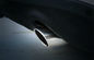 Audi Q5 2009 2013 recambios de la decoración, cubierta del Respiradero-Tubo de la cola del acero inoxidable proveedor